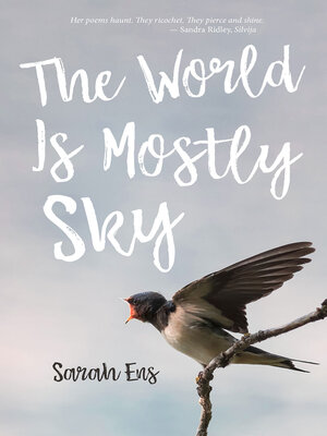 cover image of The World is Mostly Sky